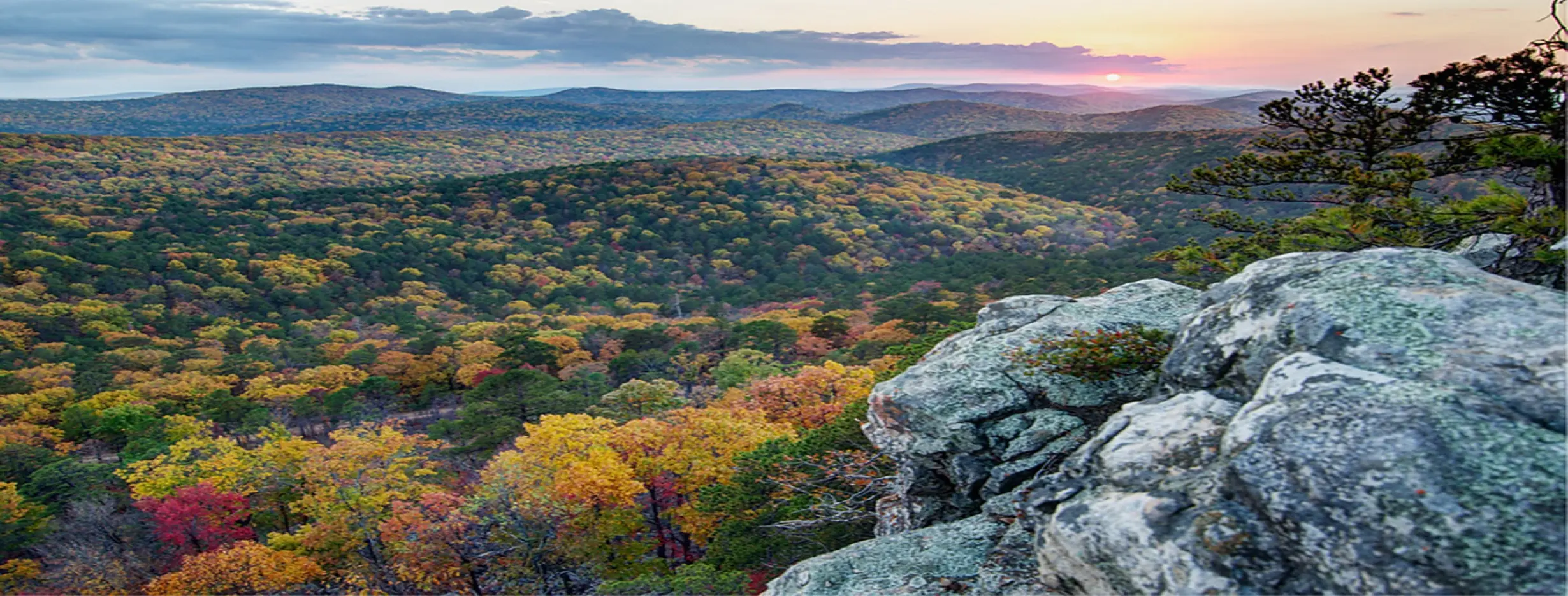 Image for Ouachita Mountains